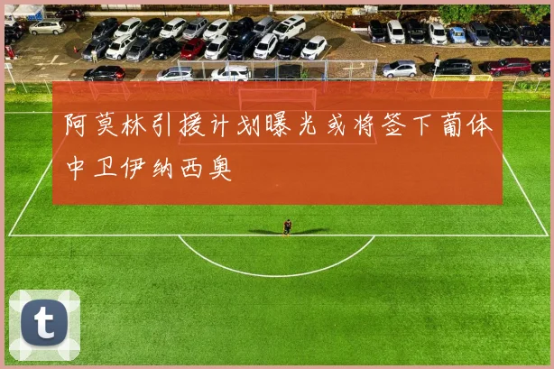 阿莫林引援计划曝光或将签下葡体中卫伊纳西奥