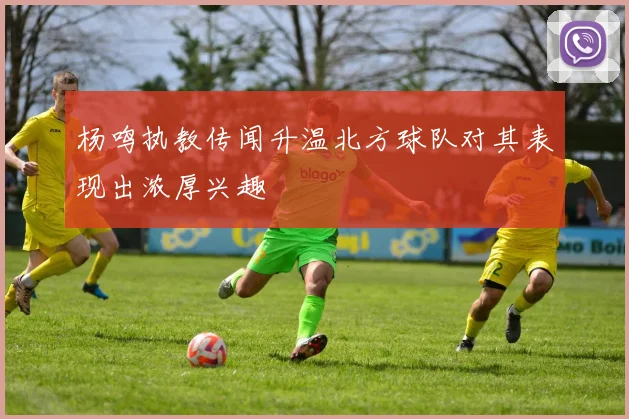 杨鸣执教传闻升温北方球队对其表现出浓厚兴趣